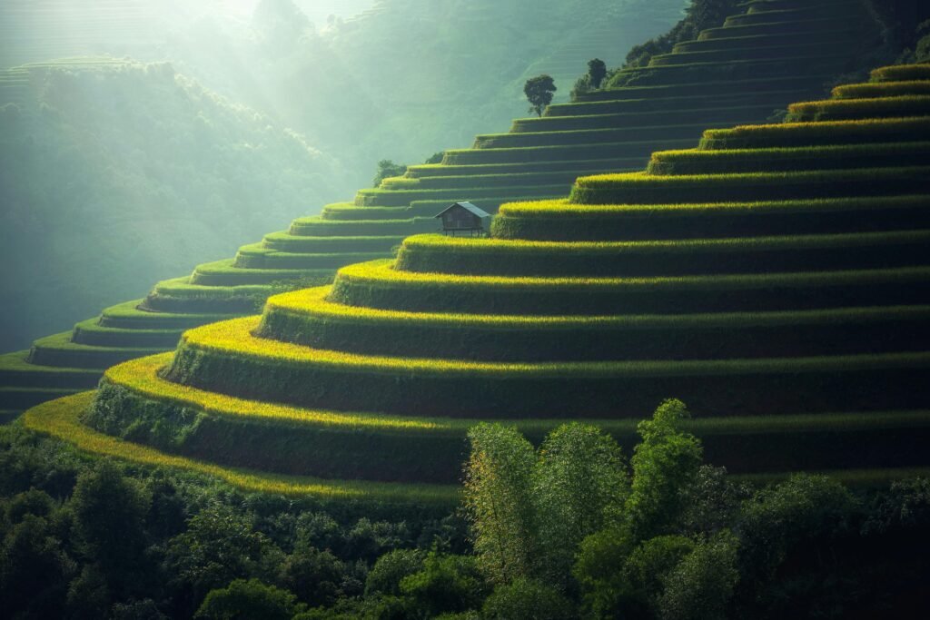 Eco